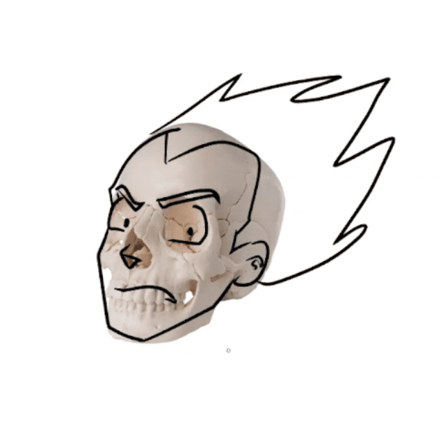 vegeta tout moche, pour créer un visage. 