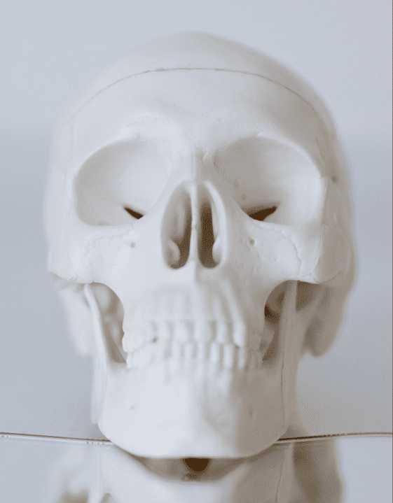 Crâne de face modele cours dessin facile visage manga 