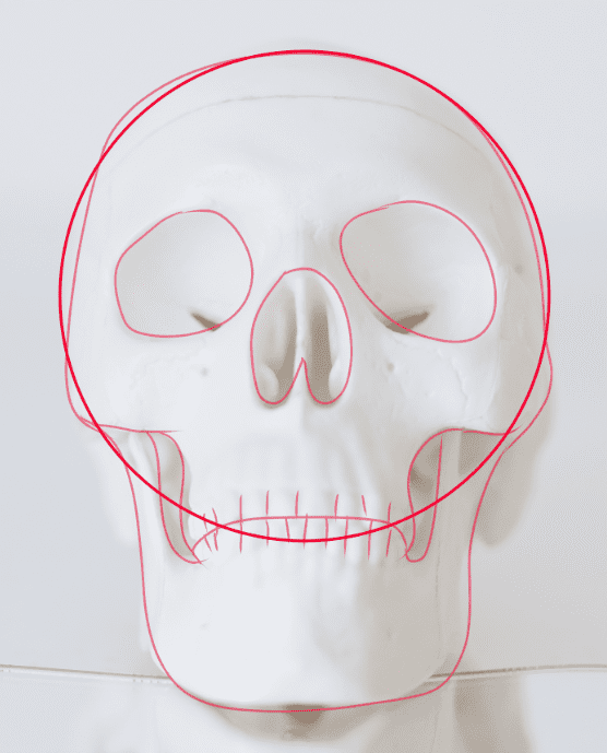 Crâne de face simplifié modèle pour cours dessin facile visage manga 