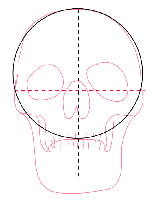 base de  la tete d'un dessin facile visage manga avec squelette 