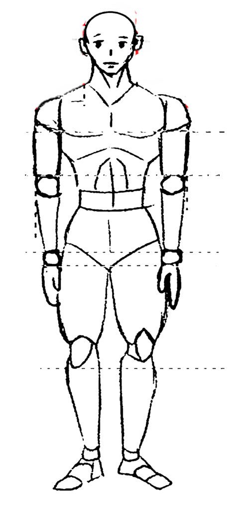 proportion manga