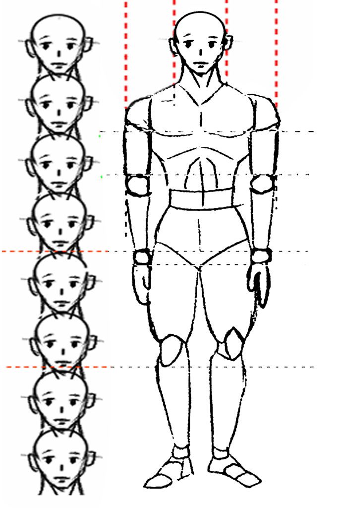 proportion manga