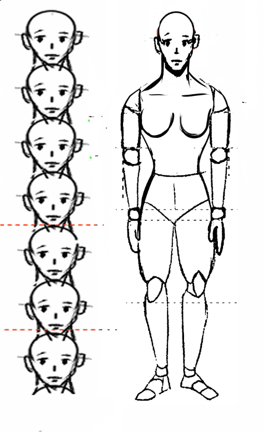 proportion manga