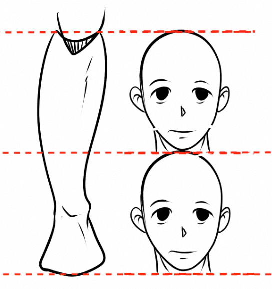 proportion manga