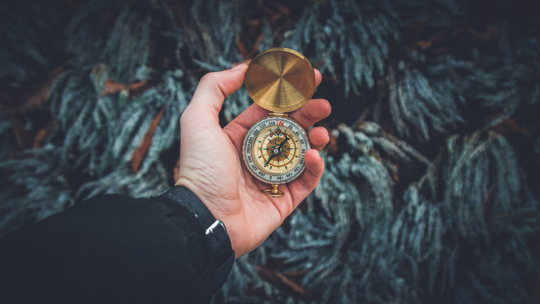 person holding compass